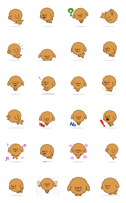 Puka-Pu-Cup Poodle