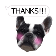 French bulldog speech balloon ~English~