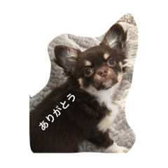 Hana_20210326185330