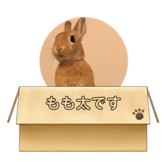 hana_20210326195837