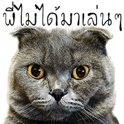 Muanjai & The M Family