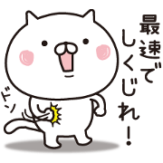 Guess cat 3