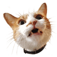 ヒグチユウコ 猫のボリス・スタンプ その２ - LINE スタンプ | LINE STORE