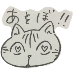 marugao cat