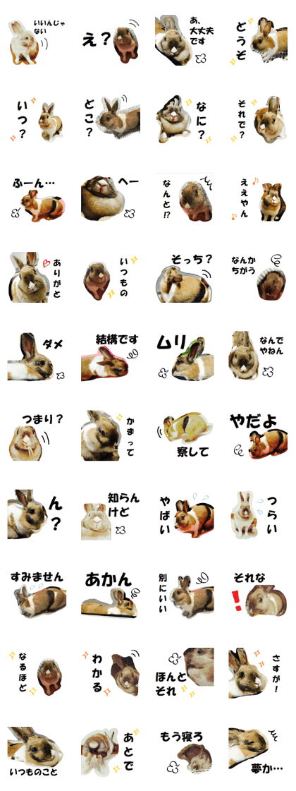 mr. rabbit who does a nod