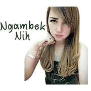 Vanes Sticker 2