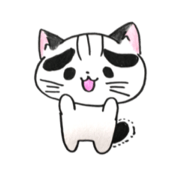 Cat POTE of eye bro ws