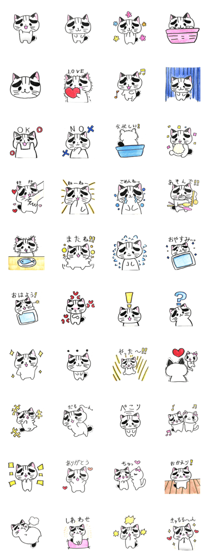 Cat POTE of eye bro ws