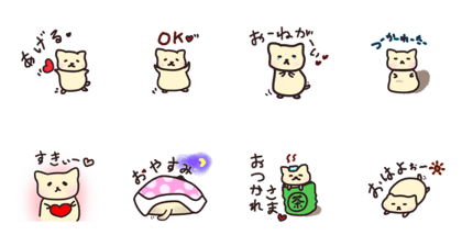 Soft cat cat