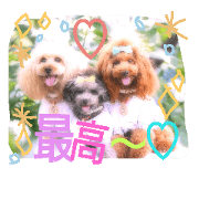 3princess LIFE