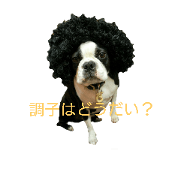 BostonTerror--KOTETSU
