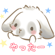My little rabbit Chikuwa