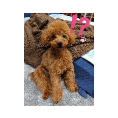 HANA_20210327