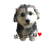 senyou