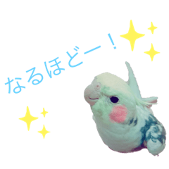 ayumi_20210327095846