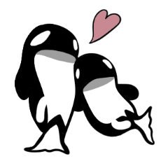 海洋生物–虎鯨歐卡與他的女朋友