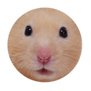 ohu the hamster (stamp of emotion)