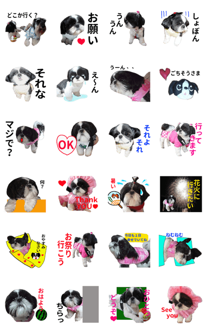 Shih Tzu kawaii
