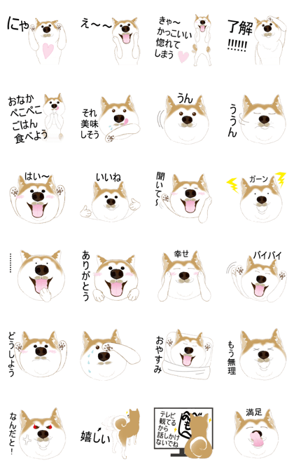 really cute shibainu vol. 2(Japanese.)