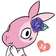 38 Rabbit