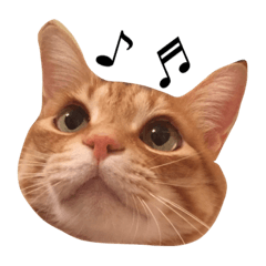 chirochan