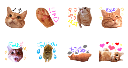 chirochan