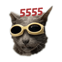 King_20210326220046