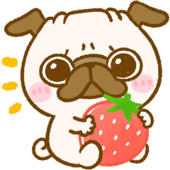 Happy Pug Chan Line Stickers Line Store