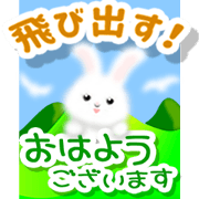 POPUP white rabbits