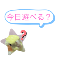 ayumi_20210327150024