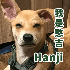 我是Hanji，你可以叫我Ji