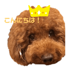 PUKU_20210327152004