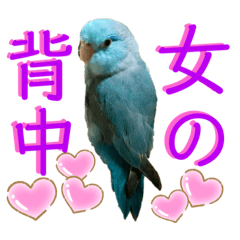 chibi_20210327161051