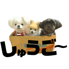 CHIHIRO_20210327170830