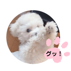 かねねんのうめ吉くん③