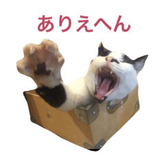 よく使う！犬猫スタンプ5(関西弁)