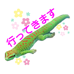 miki_20210328000825