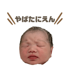 Kazuki_20210327175600