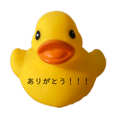 cocoa_20210327214843