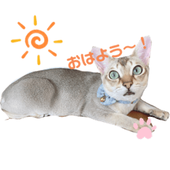 smile_20210328103735