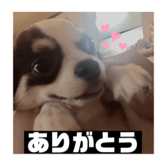 Aoi_20210327222909