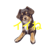 tiwaxREO