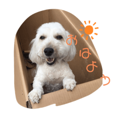 yukari_20210327234338