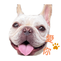 法鬥小饅頭M