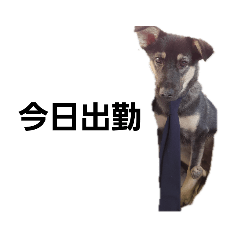 一族だョ 全員集合 あずき一族デビュー 編 Lineクリエイターズスタンプ Stamplist