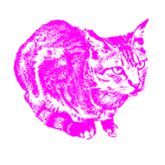 Pop Art Cat emoticons_2