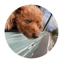 cocoa_20210328120922