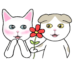 TianTian & MiMi : Friendly Cat Pals