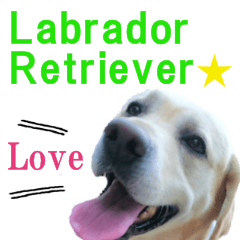 Labrador Retriever POP Sticker