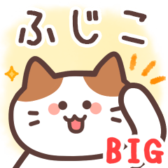 ふじこ専用♪毎日使えるBIGスタンプ